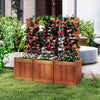 Outdoor wooden raised garden bed with trellis, featuring smooth wood, ideal for climbing plants and decorative.
