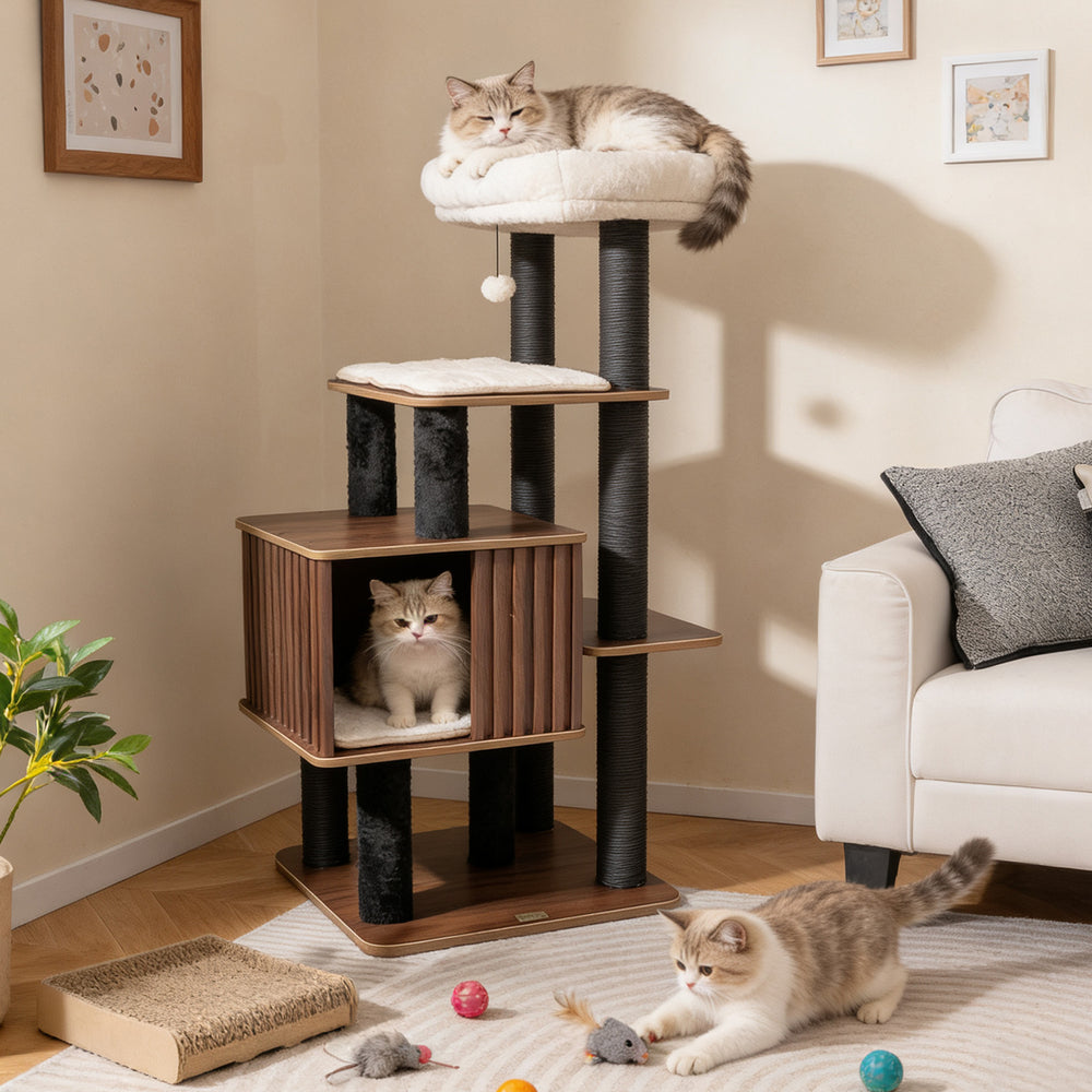 Multi-level 53.5-inch tall cat tree with wooden design, soft top perch, and cozy cat condo for indoor cats.