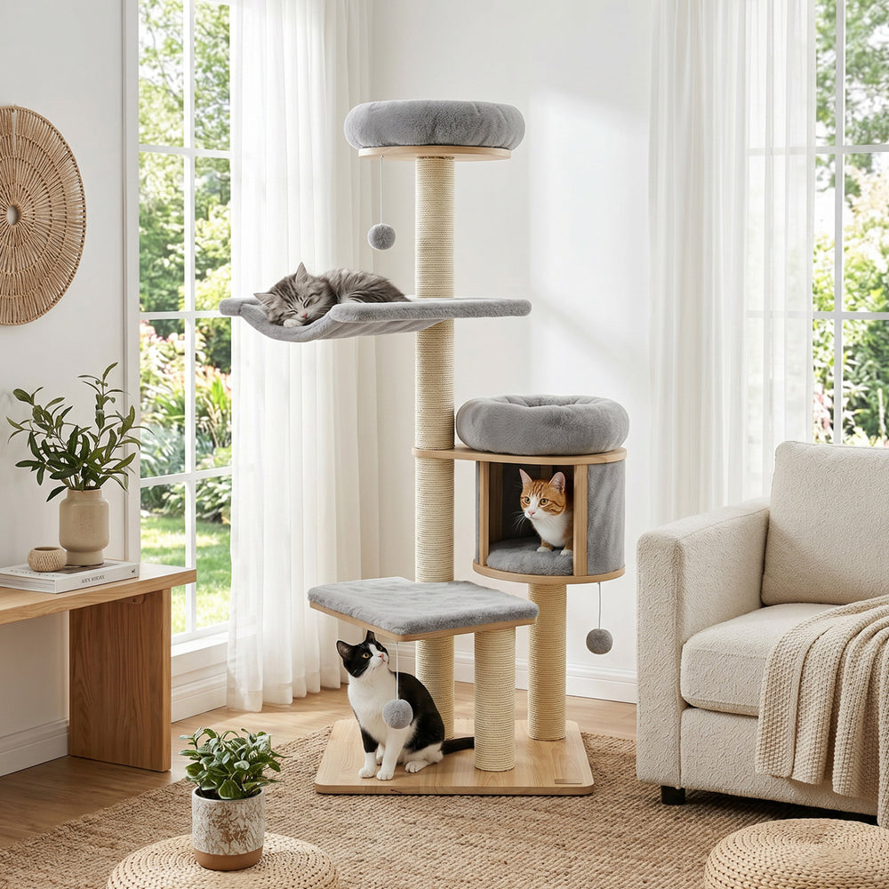 55" Solid Rubber Wood Cat Tree with Condo & Hammock and Scratching Posts for Adult Cats-Gray - Gallery View 1 of 10