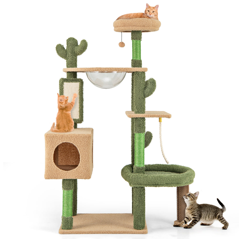 Cactus cat tree with a spacious bottom perch, self groomer brush, and playful hanging toys for active feline fun.