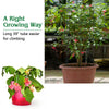 Garden trellis for climbing plants, featuring a stable iron frame and elegant dark green design, ideal for vertical.