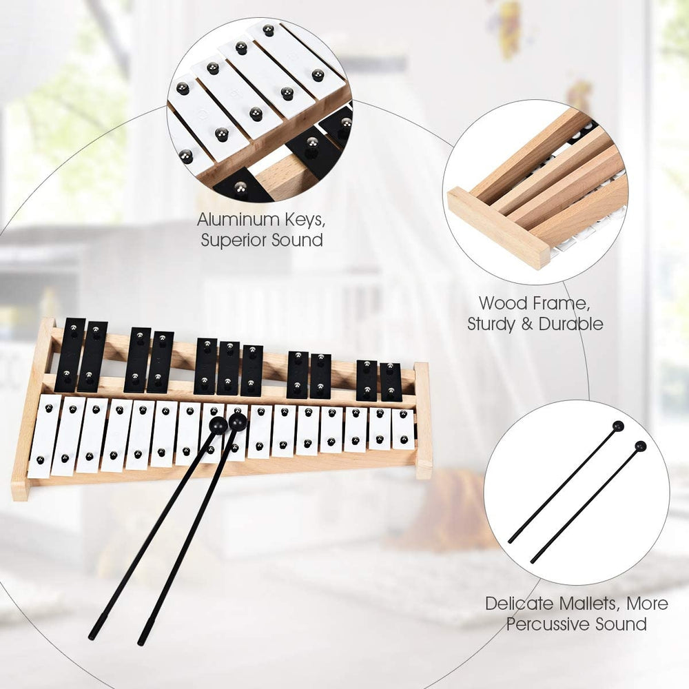 27-note glockenspiel xylophone with aluminum keys, sturdy wood frame, and 2 rubber mallets for versatile musical play.