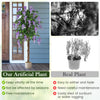 5.5 FT faux wisteria plant in nursery pot with purple flowers, perfect for home or office decoration, free maintenance.
