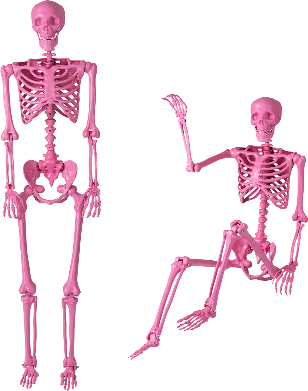 5.5 FT Life-Size Halloween Poseable Skeleton Pink Movable Joints