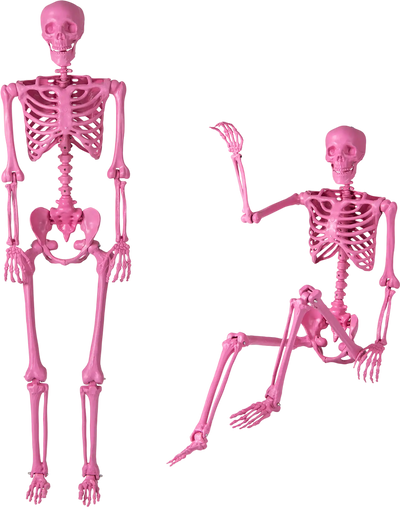 Costway 5.5' Life-Size Pink Poseable Halloween Skeleton Movable Joints 79169720 New