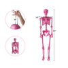 Life-size pink Halloween skeleton with movable joints, 63 inches tall, perfect for indoor or outdoor decorations.