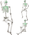 5.5 FT Halloween Skeleton Life-Size Posable for Indoor Outdoor Decoration