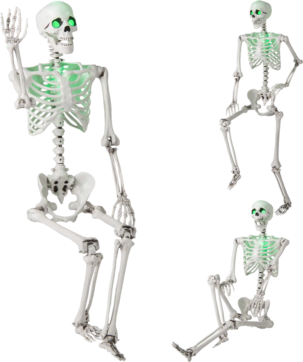 5.5 FT Halloween Skeleton Life-Size Posable for Indoor Outdoor Decoration
