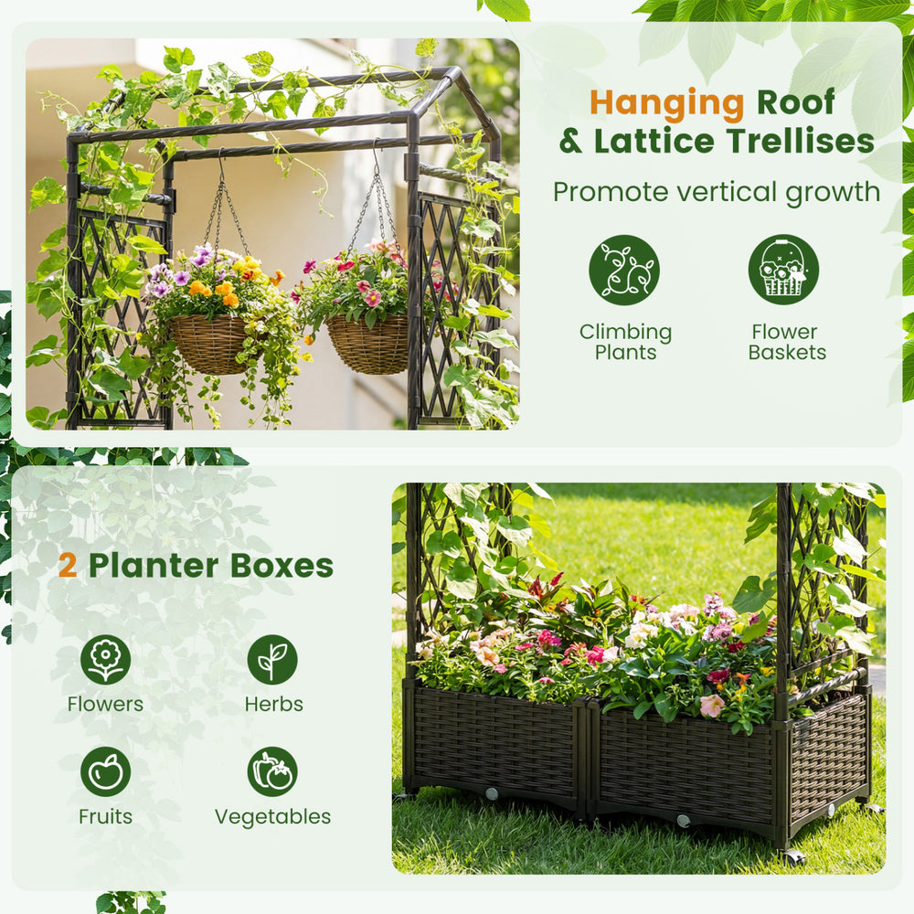 Self-watering planter boxes with lattice trellis and roof, ideal for climbing plants, flowers, and vegetables in.