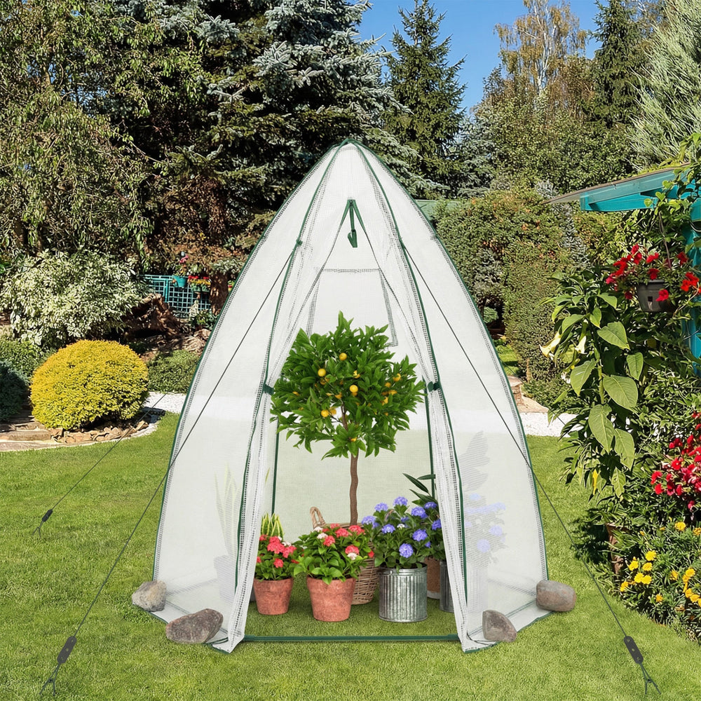 5.5 x 5.5 x 6 Feett Portable Garden Mini Greenhouse with All-Weather PE Cover-White - Gallery View 1 of 10