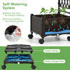 Self-watering planter box with lattice trellis, featuring a siphon design for healthier plant growth and easy mobility.