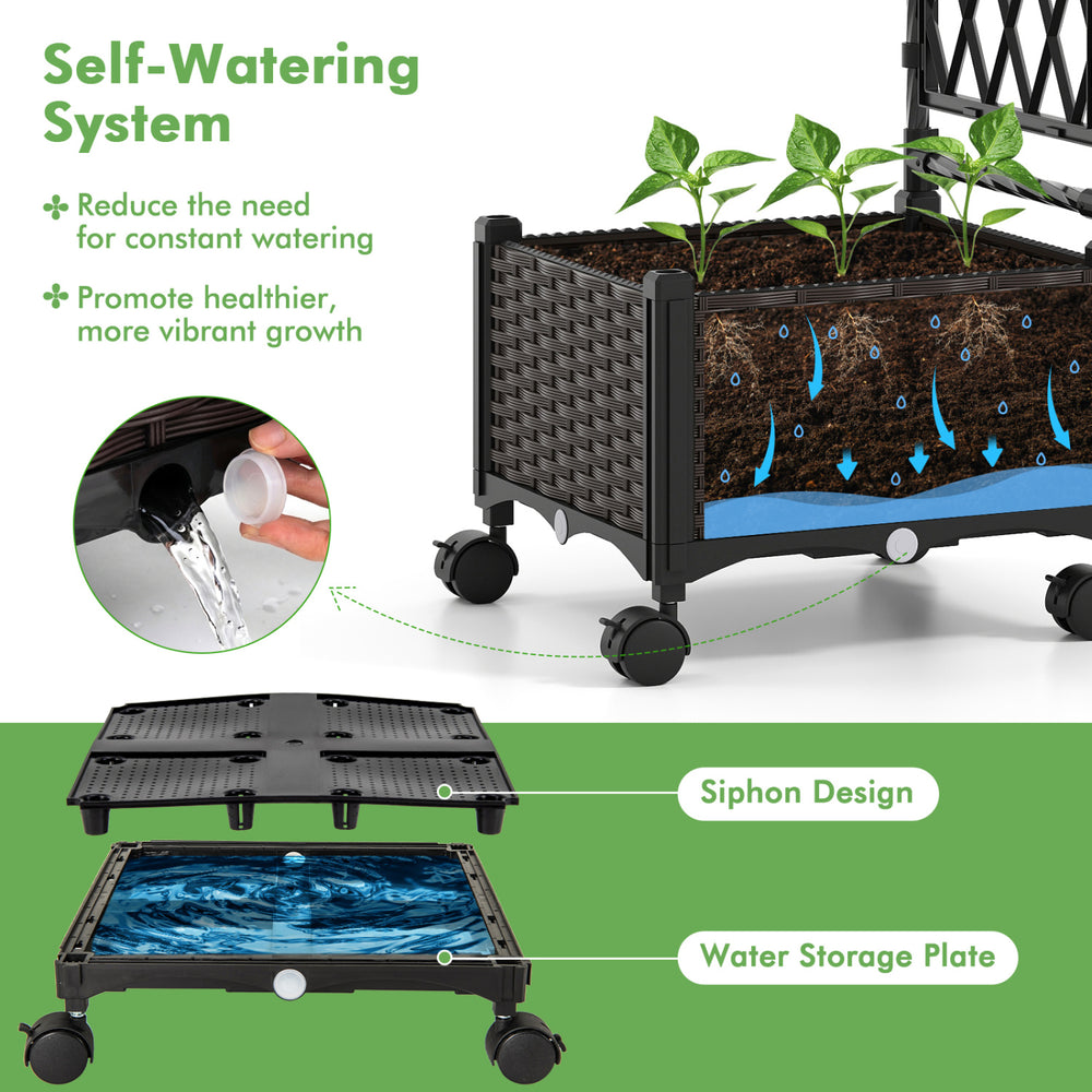 Self-watering planter box with lattice trellis, featuring a siphon design for healthier plant growth and easy mobility.