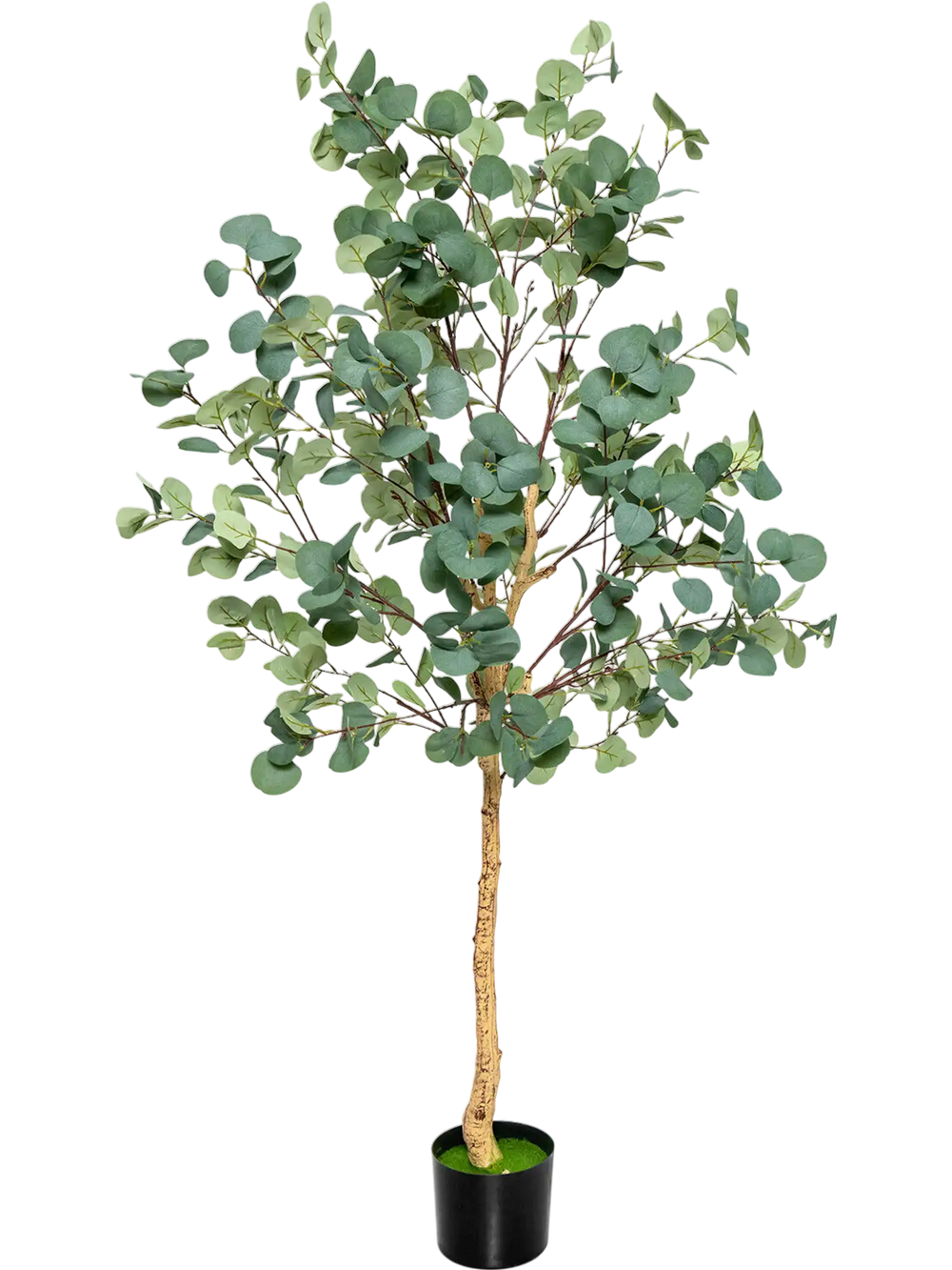 5.5 feet artificial eucalyptus tree with 517 dense leaves, featuring a stable pot, perfect for home or office decor.