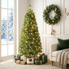 5 Feet PVC Hinged Pre-Lit Artificial Fir Pencil Christmas Tree with 150 Lights-5 ft - Gallery View 1 of 11
