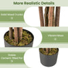 Solid wood trunks and vibrant moss in a stable cement-filled pot for the 5 FT tall artificial croton plant.