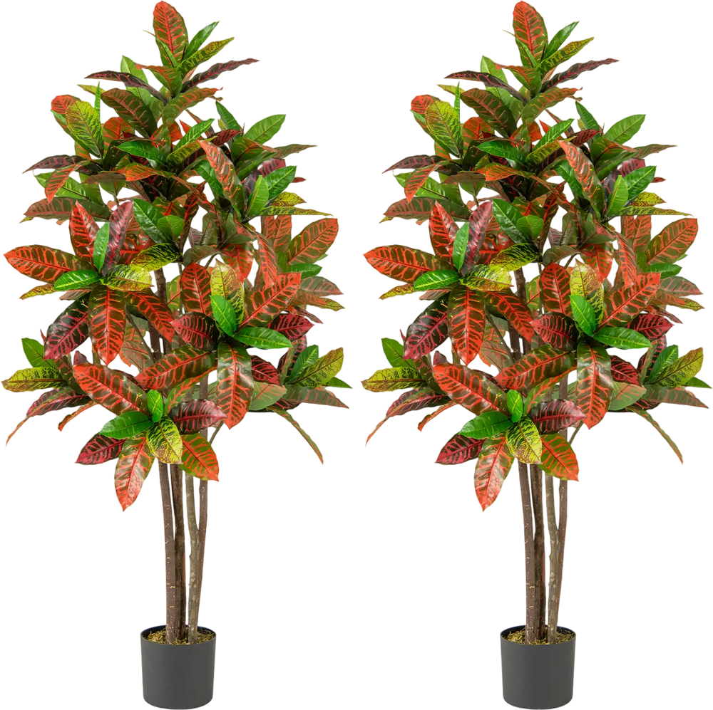 5 FT tall artificial croton plants in nursery pots, featuring gradient leaves and realistic wood trunks for home decor.