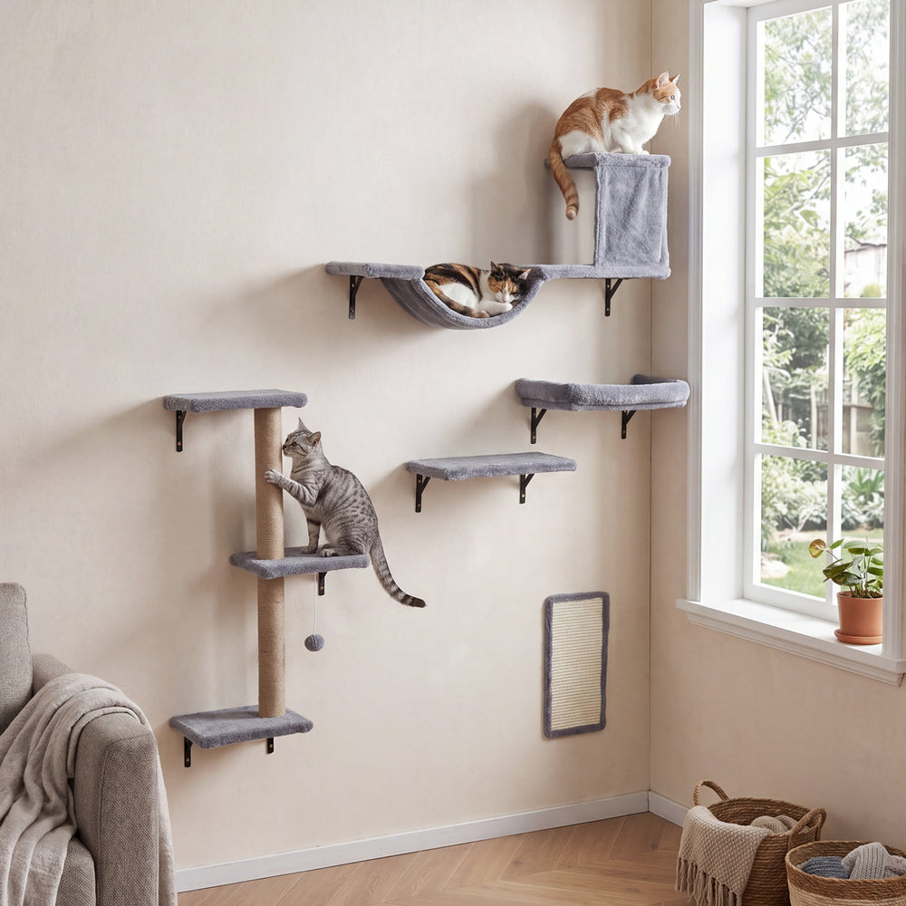 Wall-mounted 5-in-1 cat shelves in gray with plush surfaces, scratching post, and condo for indoor play and rest.