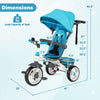 5-in-1 detachable baby stroller tricycle in blue with adjustable canopy, dimensions, and safety features for kids.