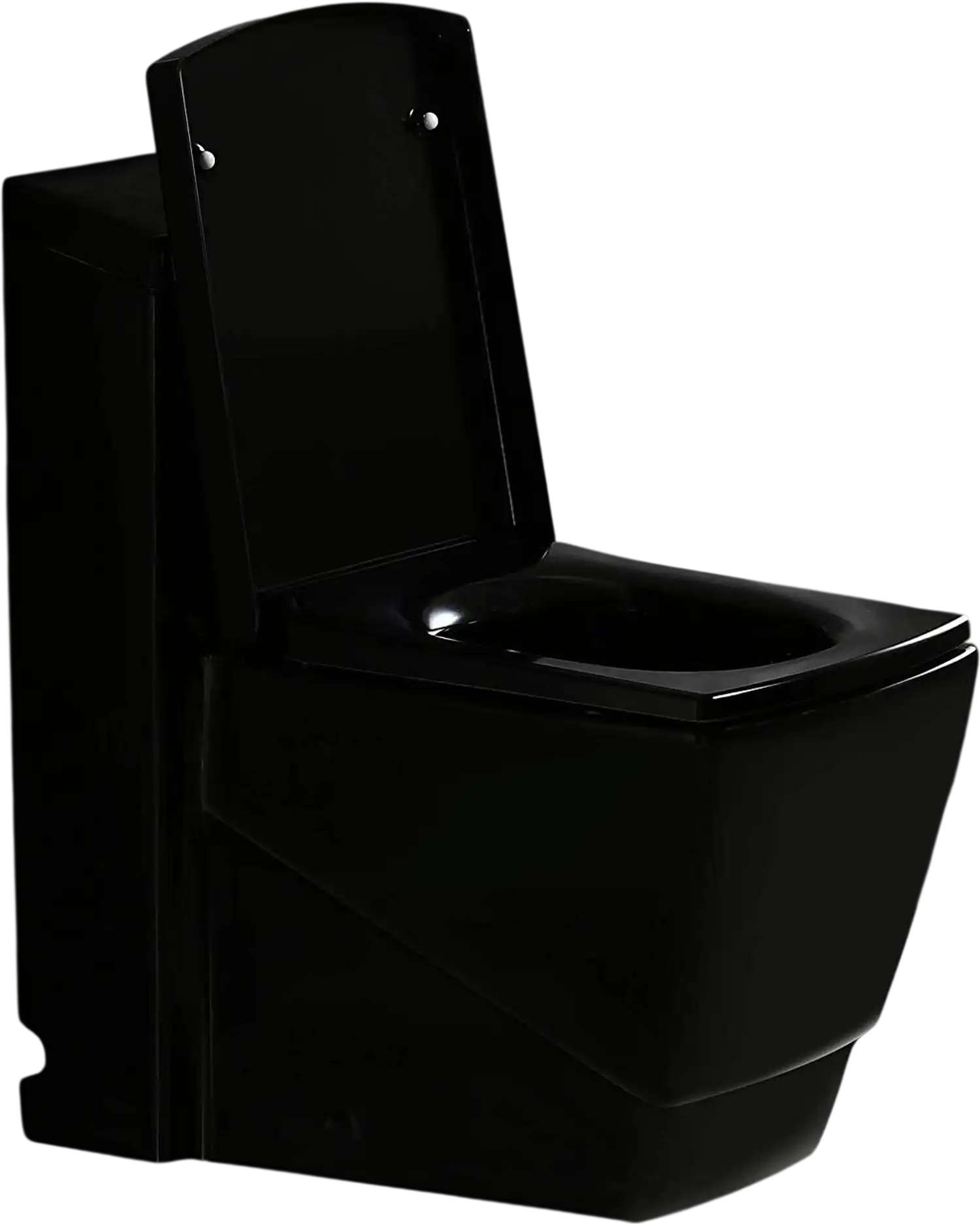 WOODBRIDGE B0921 Toilet Square One Piece Dual Flush 1/1.6 GPF Soft Close Seat New