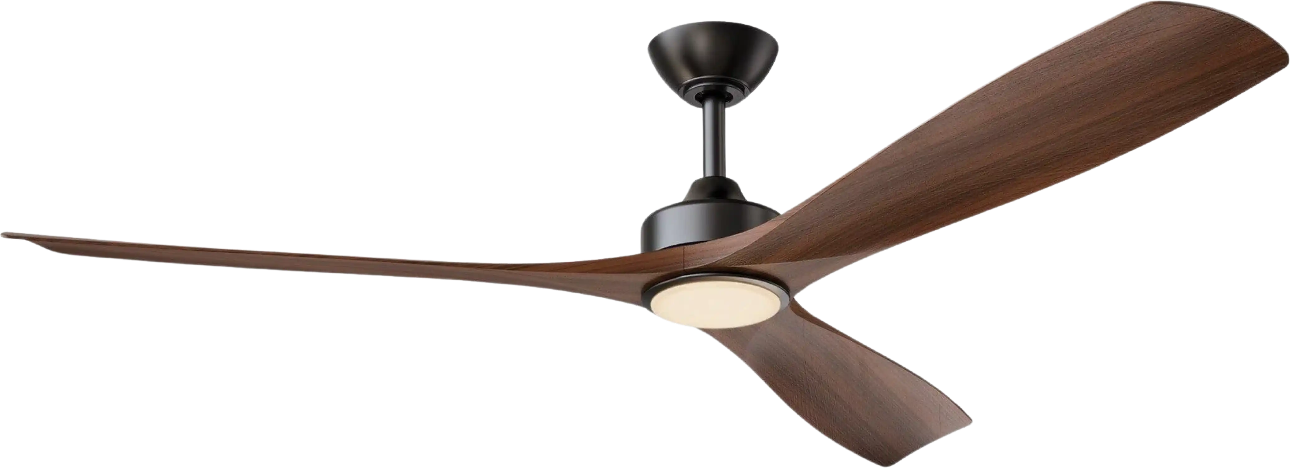Parrot Uncle 60