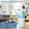 60-pint dehumidifier in white with digital display, ideal for spaces up to 4000 sq. ft., featuring 3 working modes.