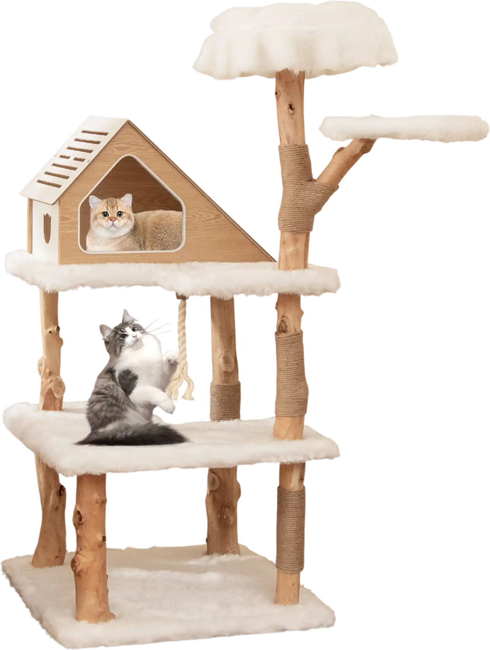 Solid wood cat tree with two perches, cozy condo, and jute scratching posts for playful and relaxed cats.