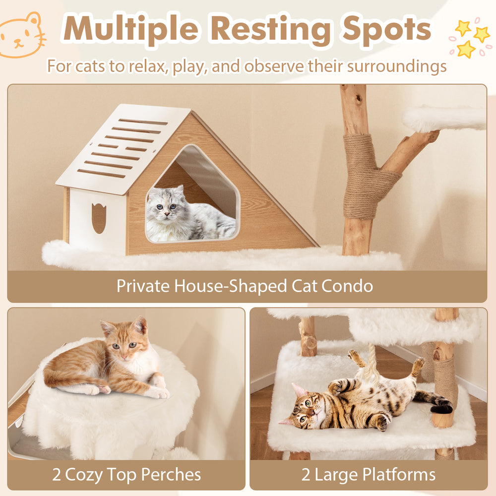 Cozy cat condo with two top perches, large platforms, and natural wood, perfect for relaxation and play.