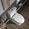 WOODBRIDGE Moder Design, Elongated One piece Toilet Dual flush 1.0/1.6 GPF,with Soft Closing Seat, white, T-0032