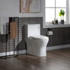 WOODBRIDGE Moder Design, Elongated One piece Toilet Dual flush 1.0/1.6 GPF,with Soft Closing Seat, white, T-0032