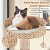 Cat tree perch with hand-woven natural cattail material, featuring a soft cushion for indoor cats to relax and observe.
