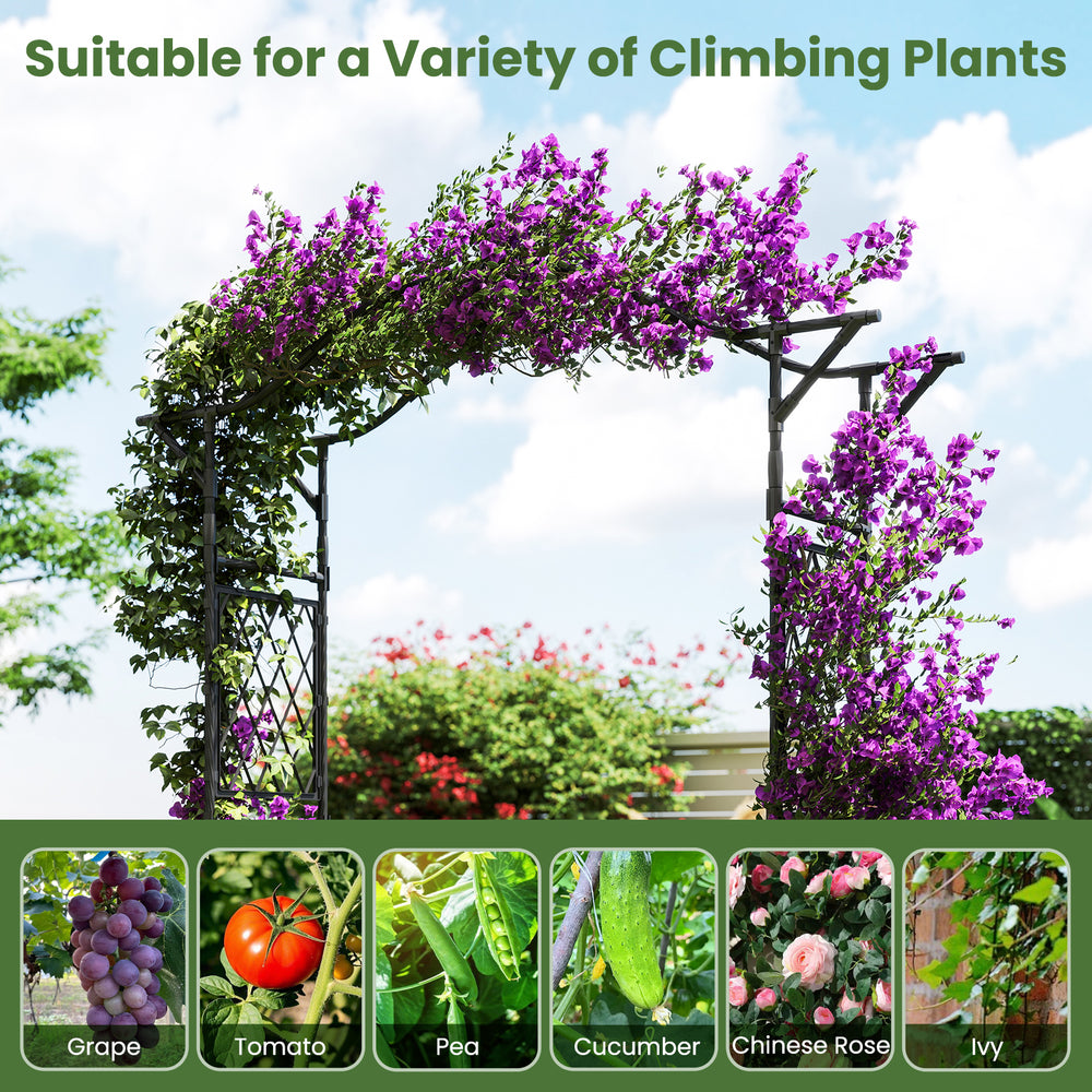 Garden arch trellis for climbing plants, made of weather-resistant metal, ideal for weddings and garden entrances.