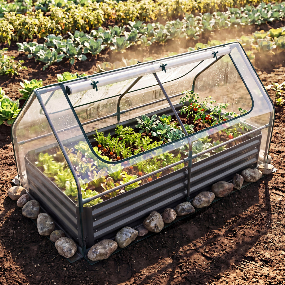 Galvanized raised garden bed with PVC cover and roll-up windows, ideal for protecting plants and extending the growing.