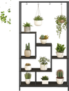 6-tier black metal plant stand with 10 hooks, showcasing various plants for indoor decoration and space-saving.