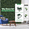 Artificial peanut leaf hedge panel with 4-layer leaves, UV resistant, ideal for decorating walls and fences.