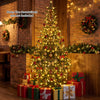 Pre-lit green fir Christmas tree with 250 LED lights and 1665 branch tips, perfect for festive holiday decor.