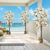 6 feet artificial bougainvillea tree with 910 white flowers and natural wood trunk, perfect for enhancing outdoor.