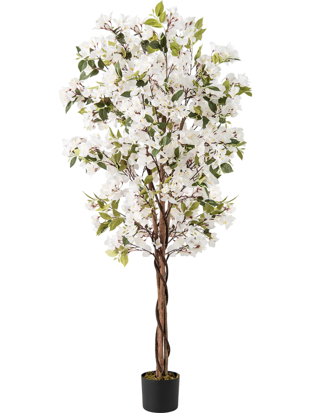 6-foot artificial bougainvillea tree with 910 white flowers and a natural wood trunk, perfect for indoor decoration.