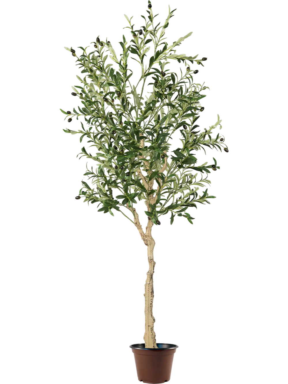 6-foot artificial olive tree with detailed silk leaves and fruits, set in a sturdy cement pot for stylish indoor decor.