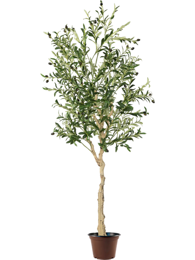 Costway 6' Artificial Olive Tree in Cement Pot 59147368 New