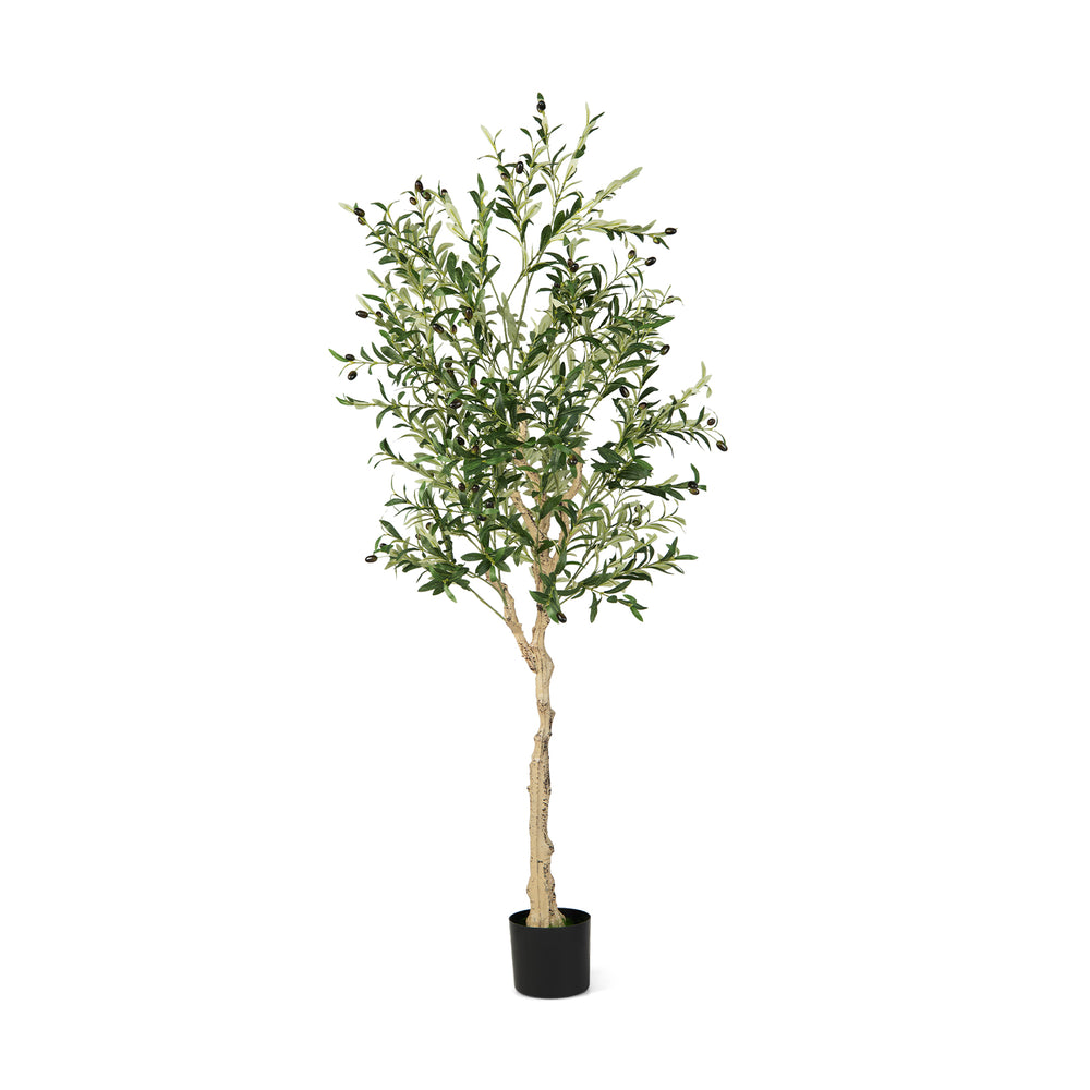 6 feet artificial olive tree with 1264 leaves and 72 fruits in a cement pot, ideal for indoor and outdoor decoration.