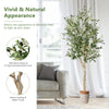 6-foot artificial olive tree with 1264 leaves and 72 fruits in a cement pot, ideal for indoor and outdoor decoration.