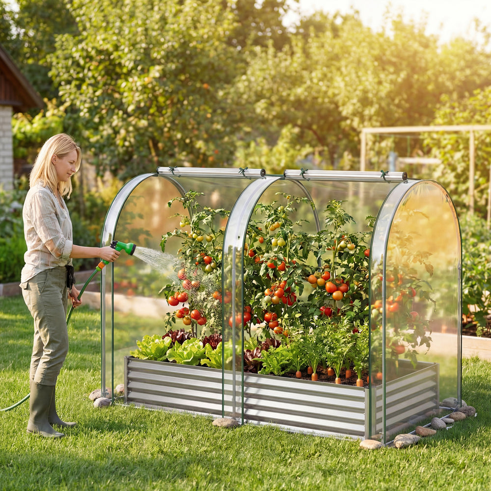 Galvanized raised garden bed with greenhouse cover, featuring clear PVC for warmth and protection, ideal for various.