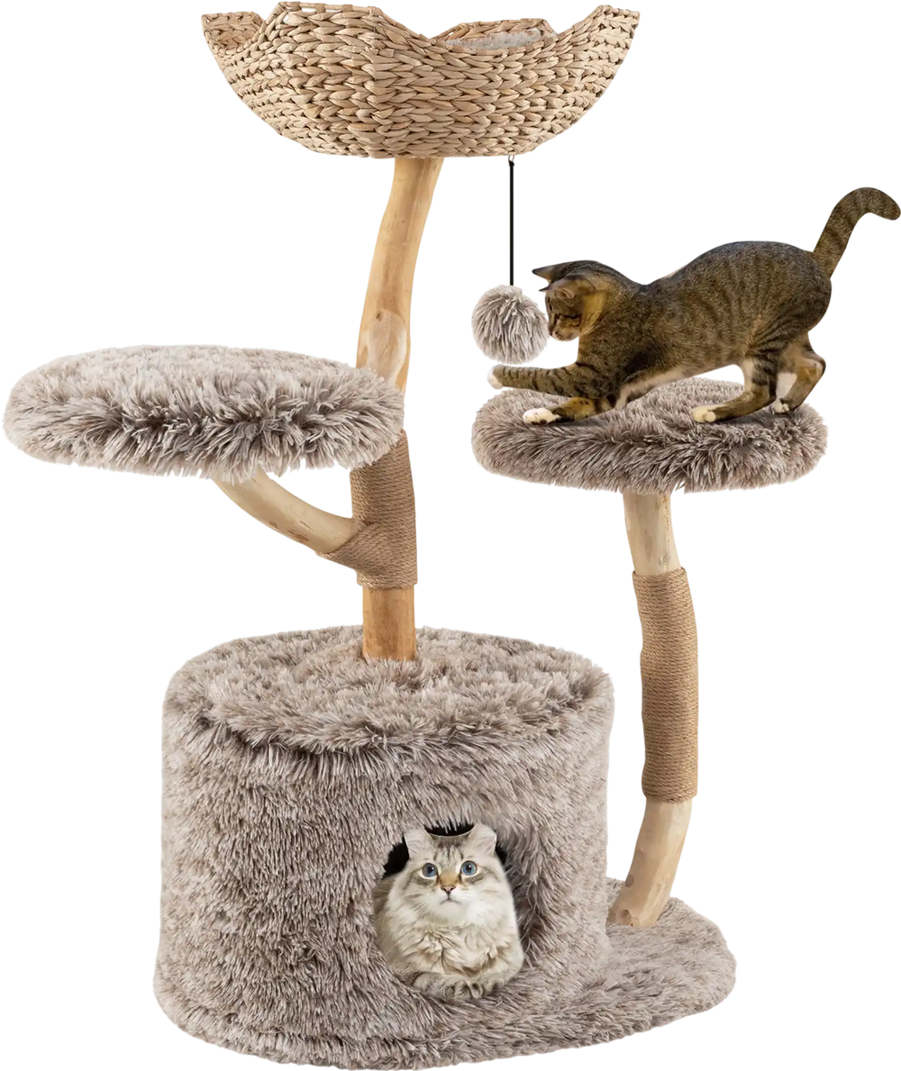 Wood cat tree with natural pear wood trunk, plush fabric, and cozy perch for lounging and exploring.