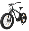 Ecotric Hammer E-Bike 48V 13AH 750W 20 MPH Fat Tire Beach Snow Bike New