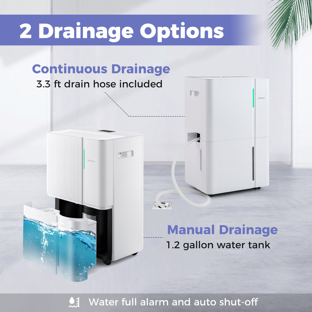 74/96 Pints dehumidifier with continuous and manual drainage options, ideal for large rooms up to 5500 sq. ft.