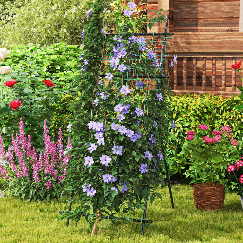 74-inch tall black garden trellis with climbing flowers, designed for stability and support of vines and vegetables.