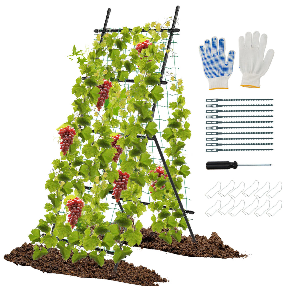 74-inch tall black garden trellis with climbing plants, sturdy clips, and included tools for easy setup and support.