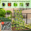 74-inch tall black garden trellis featuring an A-frame design, ideal for supporting climbing plants like cucumbers and.