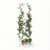 Freestanding 75 x 20 inch white metal garden trellis with elegant design, featuring a foldable bottom shelf for potted plants.