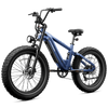 Roma All-Terrain Ebike